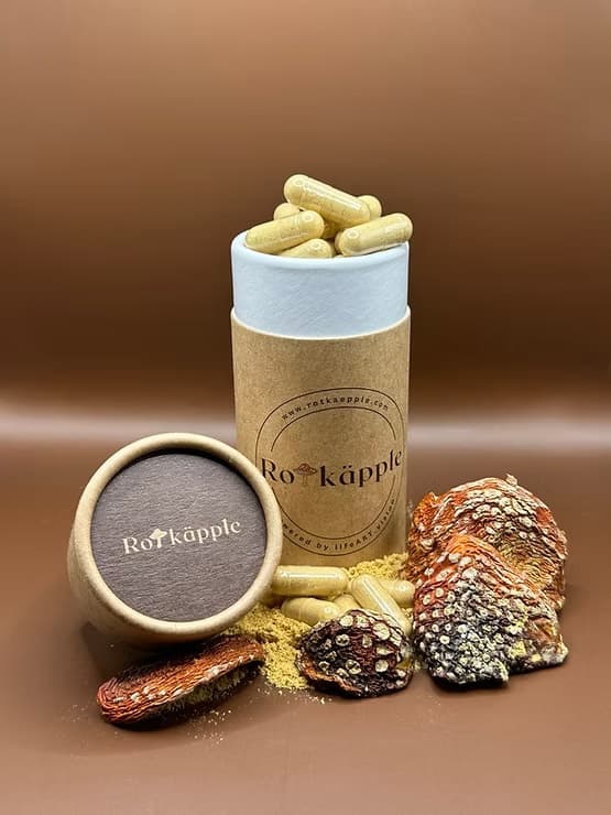 Fliegenpilz Kapseln in Österreich kaufen – legal und verantwortungsvoll für deine Forschung