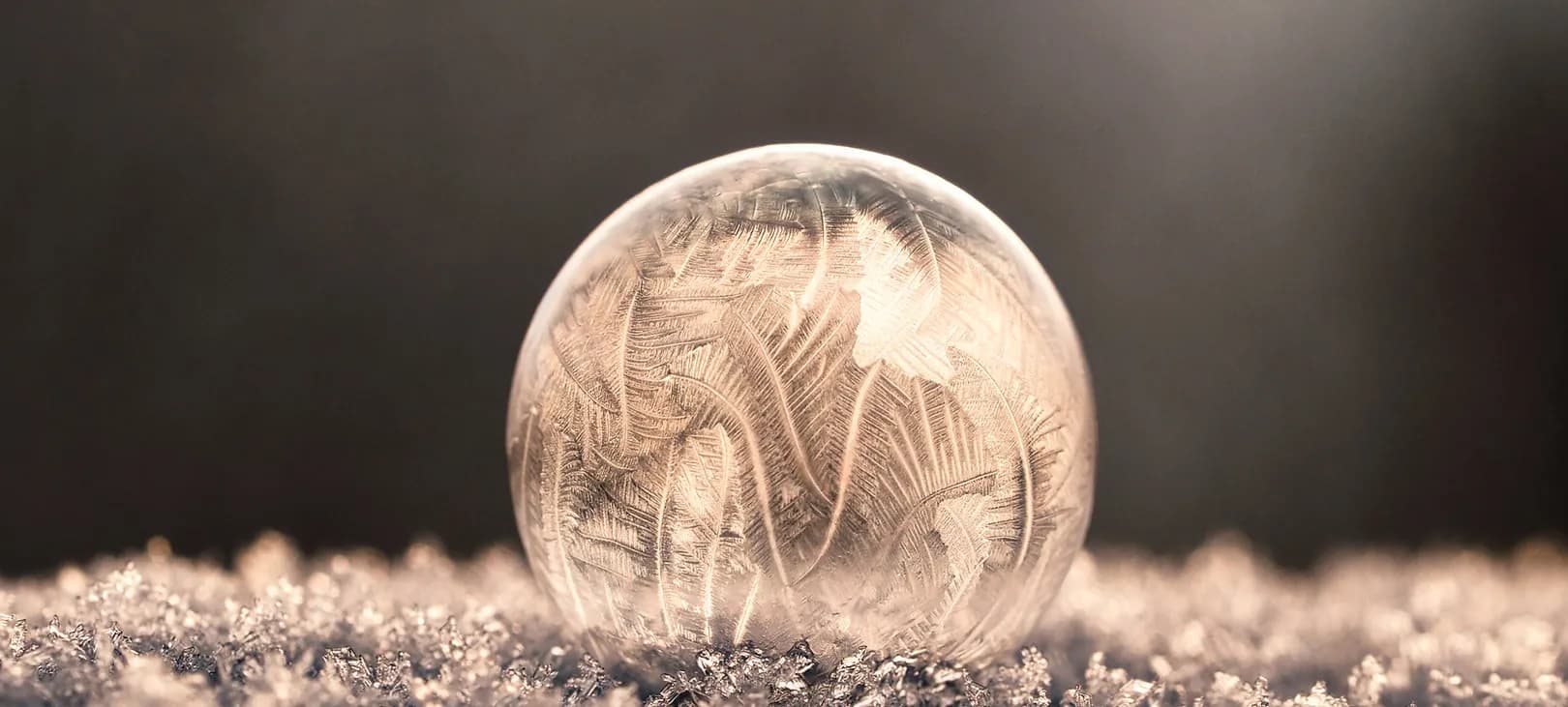 Spirituelle Bewusstseinserweiterung mit Amanita Muscaria